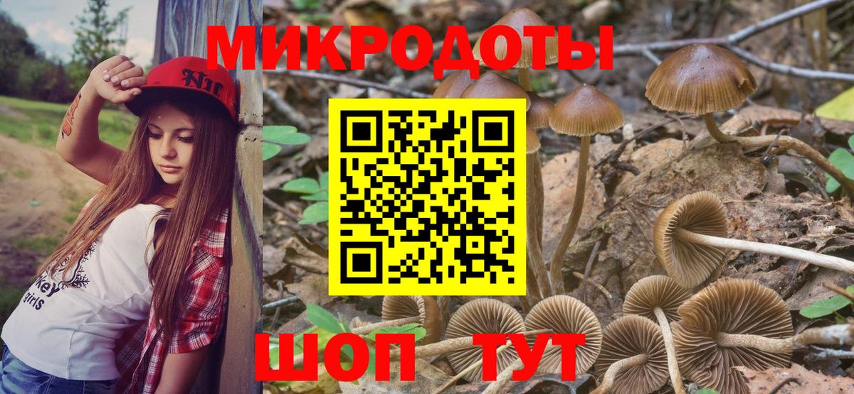 Удомля  Псилоцибиновые грибы GOLDEN TEACHER  Вход с VPN 