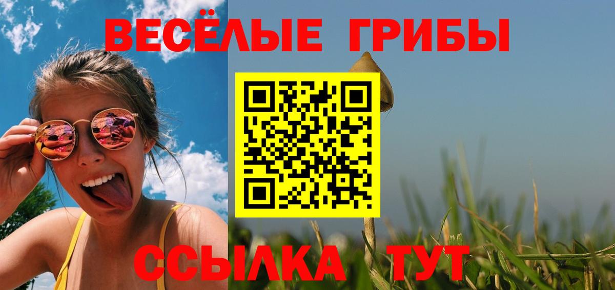 Псилоцибиновые грибы мицелий Удомля